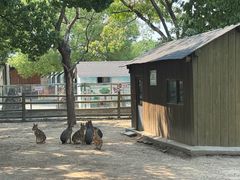 -苏州太湖西山岛开心农场