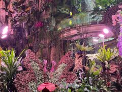 -正佳雨林生态植物园