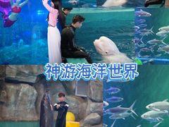 -威海华夏城景区