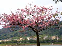 -风云岭森林公园