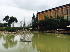 -田园东方蜜桃村的田野营地
