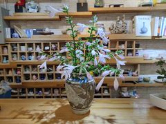 -今日陶艺(富力广场店)