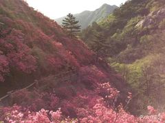 -木兰云雾山