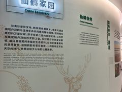 -盐城丹顶鹤湿地生态旅游区