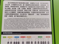 -武汉动物园