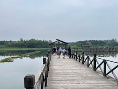 -溱湖国家湿地公园