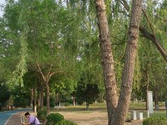 -太阳宫公园