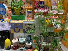 -西西弗书店&矢量咖啡(凯德晶萃广场店)