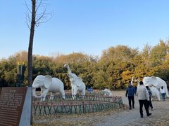 -廊坊市自然公园
