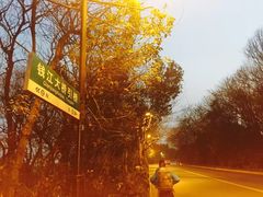 -钱塘江大桥
