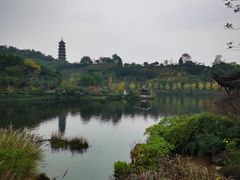 -重庆园博园