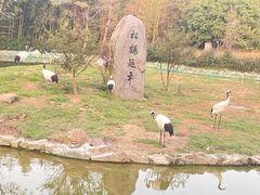 -杭州野生动物世界