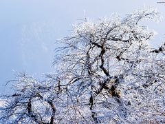 -梵净山旅游区