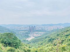 -阳台山森林公园