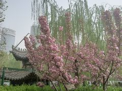 -环城公园