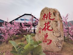 -桃花岛风景旅游区