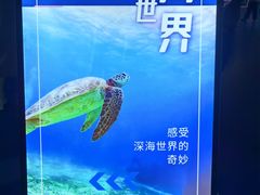 -南昌融创海世界