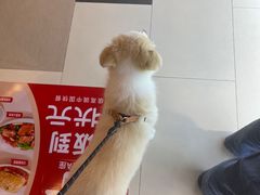 -汇德隆银隆