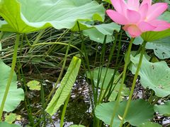 -滇釜火锅·能喝汤的火锅(车公庄店)