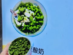 -青玉酸奶青海老酸奶、甜醅子