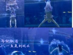 -重庆欢乐海底世界
