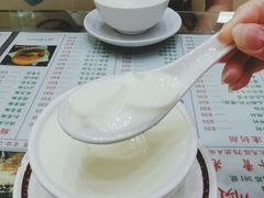 双皮奶-义顺牛奶公司(新马路老店)