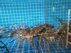 -喜渔门海鲜酒楼