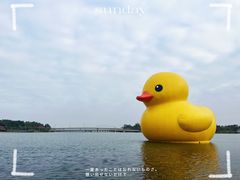 -深圳湾公园(南山区)