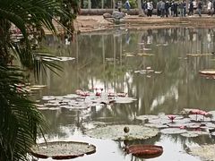 -中国科学院西双版纳热带植物园