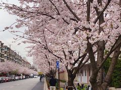 -宝山第一中心小学