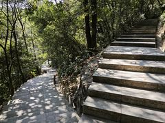 -火炉山森林公园