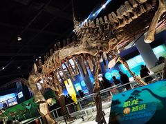 -国家自然博物馆