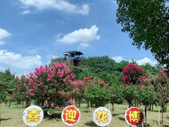 -东平国家森林公园