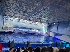 -秦皇岛乐岛海洋王国