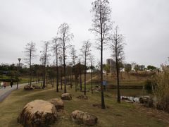 -飞来湖湿地公园