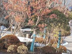 -人民广场