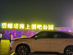 -北戴河碧螺塔海上酒吧公园