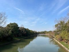 -上海海湾国家森林公园