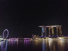 -新加坡丽思卡尔顿美年酒店