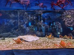 -珠海长隆海洋王国