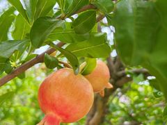 -中关村生命科学园