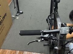 -道路口单车爱瓦士dahon大行