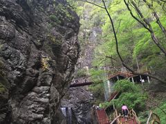 -牛背梁国家森林公园