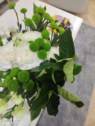 -HEYAN长风荷妍专业脱毛美肤
