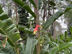 -中国科学院西双版纳热带植物园