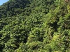 -浙北大峡谷