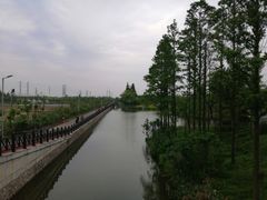 -上海长兴岛郊野公园