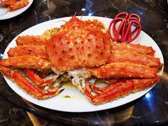 -蚝专家