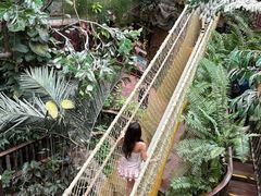 -正佳雨林生态植物园