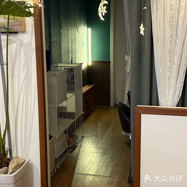 安静的角落，美好的一天